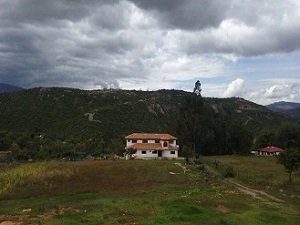 pedregal_index